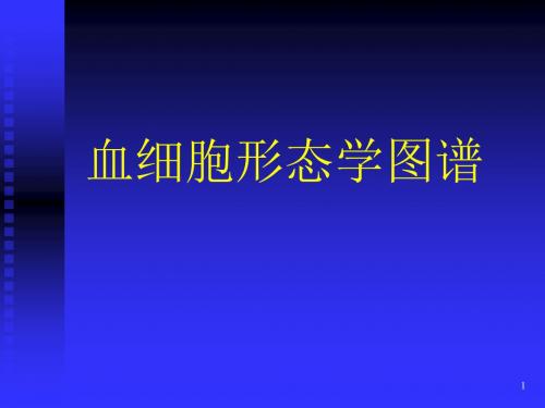 血细胞图谱大全ppt课件