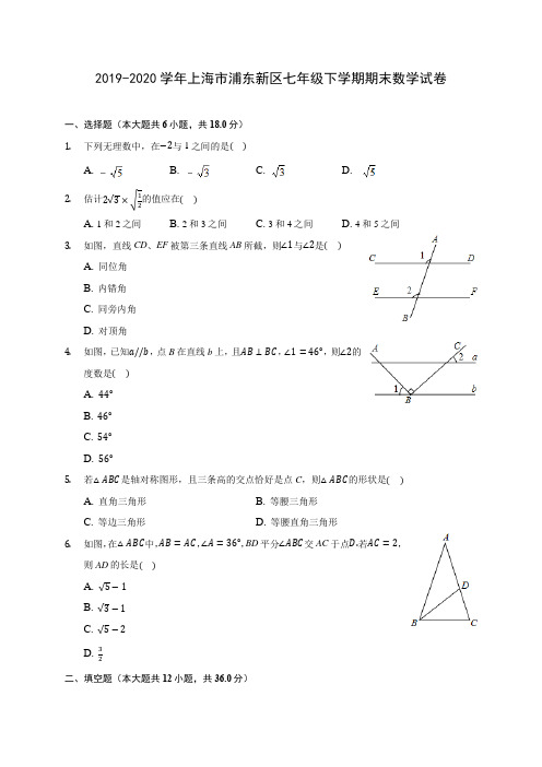 2019-2020学年上海市浦东新区七年级下学期期末数学试卷(含解析)