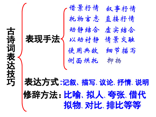 诗歌的十大表达技巧ppt课件