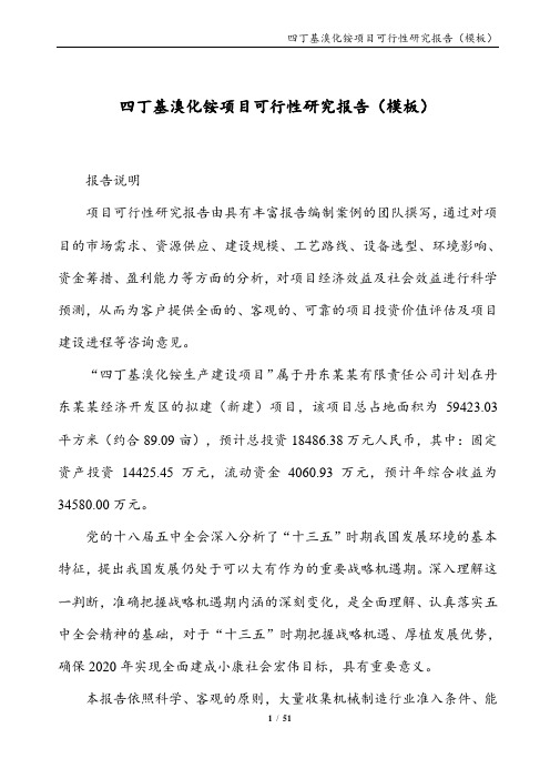 四丁基溴化铵项目可行性研究报告(模板)