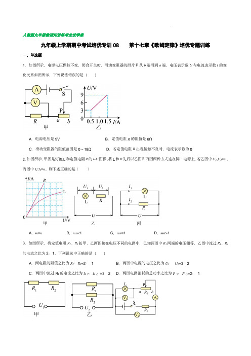 专训08 第十七章 欧姆定律 专题训练-2023-2024学年九年级物理全一册同步全优学案(人教版)