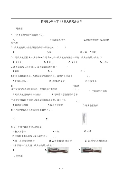 完整版六年级下册科学一课一练11放大镜教科版含答案