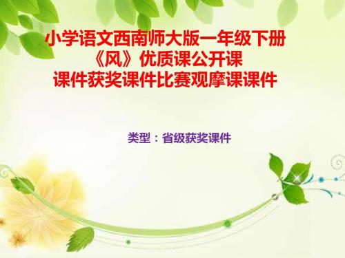 小学语文西南师大版一年级下册《风》优质课公开课课件获奖课件比赛观摩课课件B013