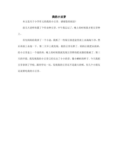我的小豆芽_小学作文