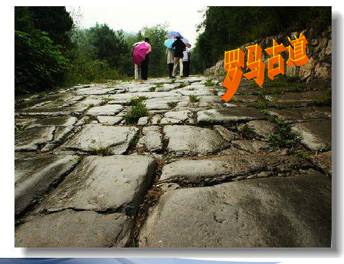 历史八年级下北师版第21课古老帝国的悲剧课件(24张)
