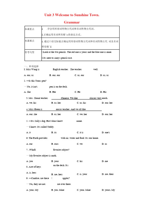 Unit 3 Grammar语法名词所有格和物主代词(解析版) (牛津译林版)