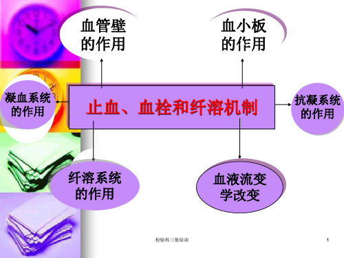 检验科三基培训课件