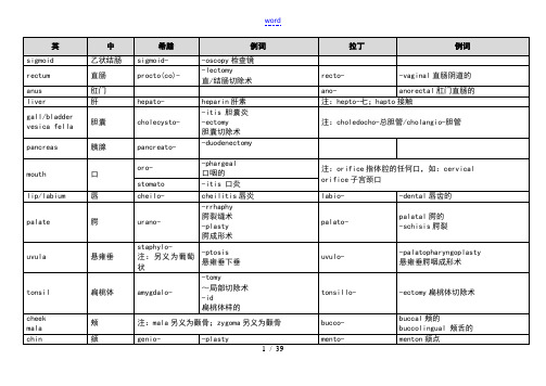 希腊拉丁医学术语词根