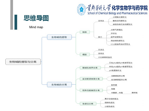 天然药物化学.ppt