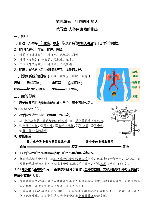 08人体内废物的排出+人体生命活动的调节-2022中考一轮复习核心考点必背知识清单