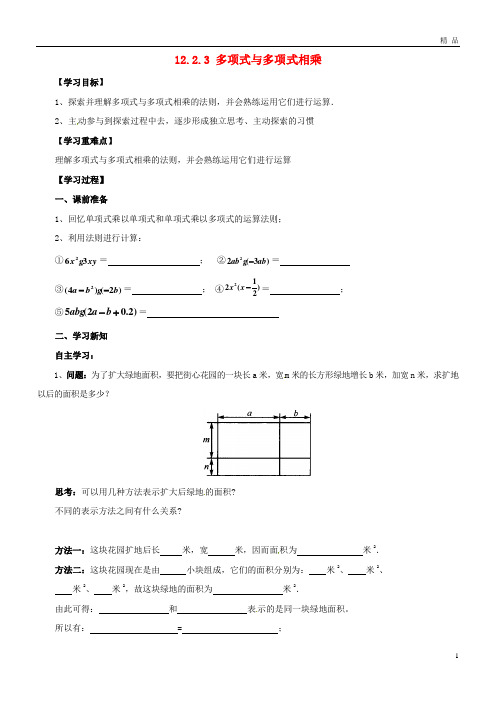 2019八年级数学上册 第12章 整式的乘除 12.2 整式的乘法 12.2.3 多项式与多项式相乘导学案