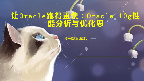 让Oracle跑得更快：Oracle 10g性能分析与优化思