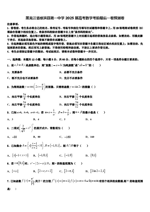 黑龙江省绥滨县第一中学2025届高考数学考前最后一卷预测卷含解析