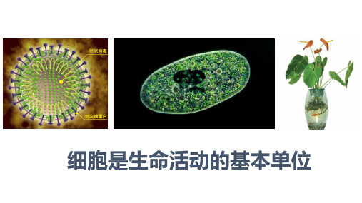 高中生物必修一1.细胞是生命活动的基本单位课件