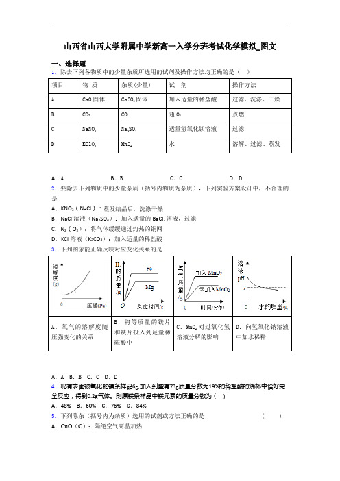山西省山西大学附属中学新高一入学分班考试化学模拟_图文