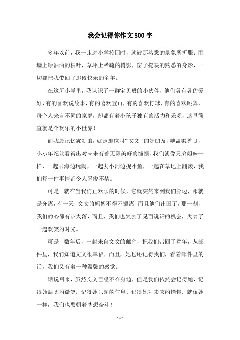 我会记得你作文800字