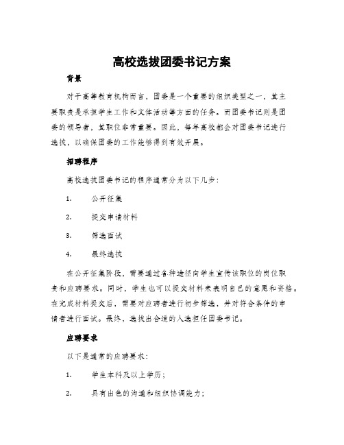 高校选拔团委书记方案