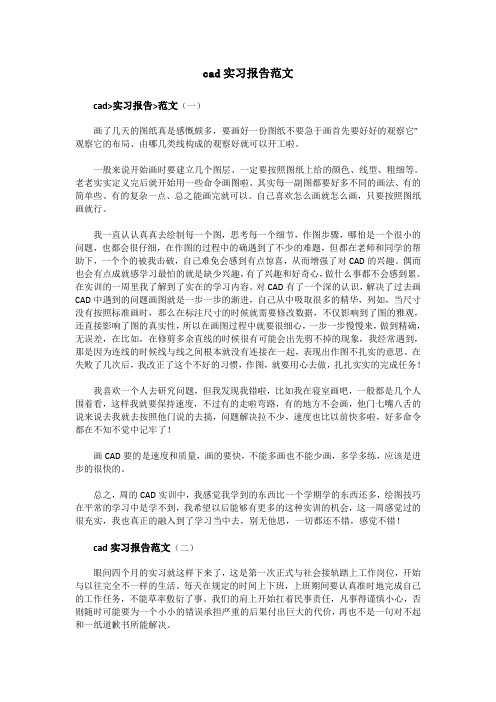 cad实习报告范文