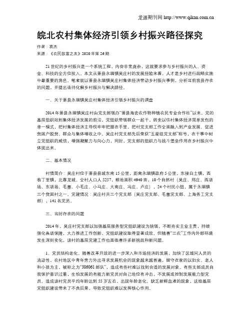 皖北农村集体经济引领乡村振兴路径探究