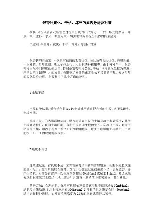 银杏叶黄化、干枯、坏死的原因分析及对策