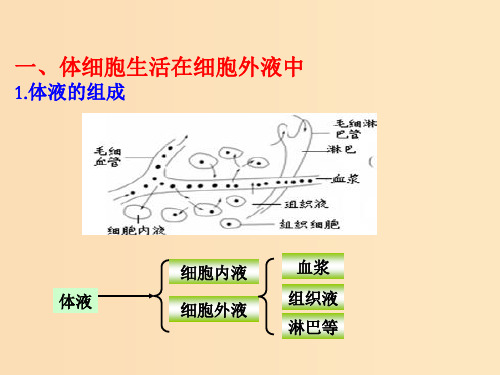 高中生物 第一章 人体的内环境与稳态 专题1.1 细胞生活的环境(提升版)新人教版必修3