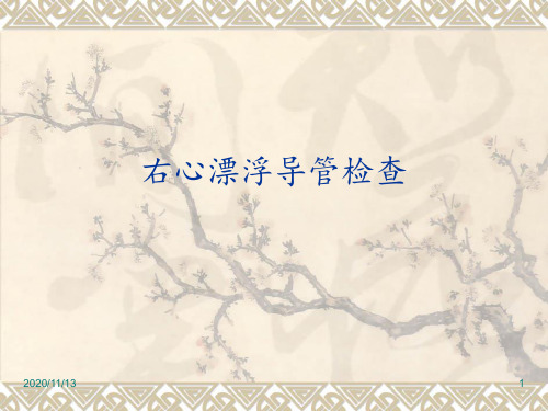 右心漂浮导管检查 ppt课件