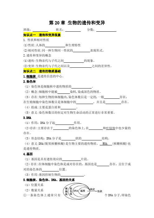 第北师大版生物八年级上册