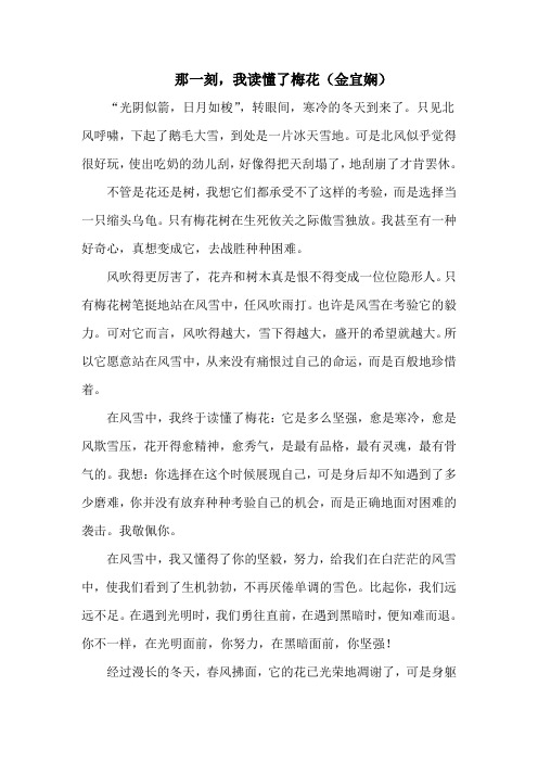 那一刻,我读懂了梅花 (金宜娴) 新起点作文