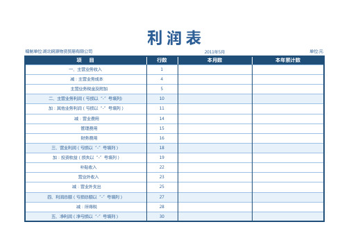 利润表-月报表