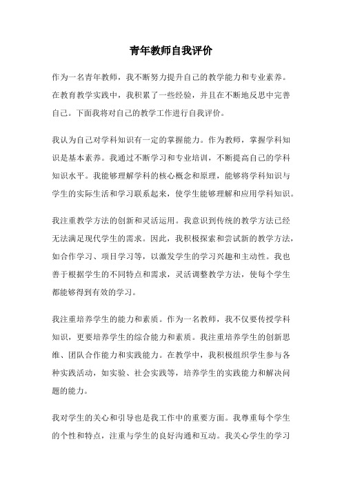 青年教师自我评价