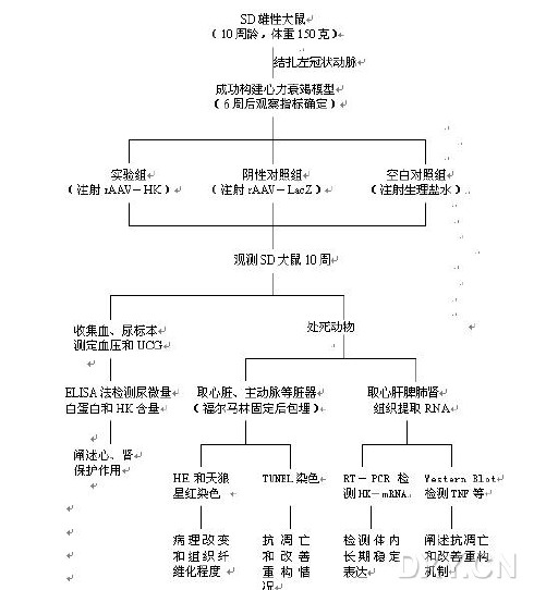 国家自然科学基金技术路线图大全,共95份