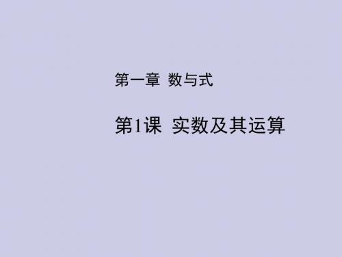 中考数学数与式(实数及其运算)复习全面版