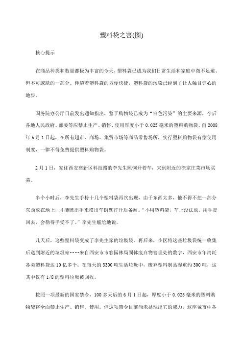 塑料袋之害图