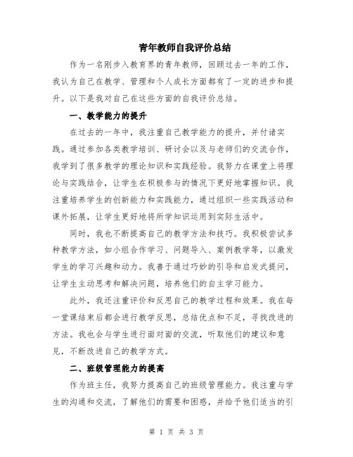 青年教师自我评价总结