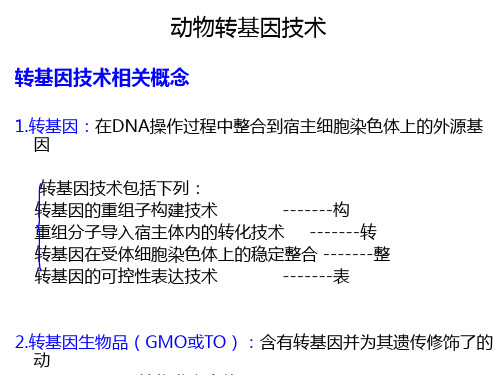 《实验动物与管理教学课件》转基因动物-PPT精选文档