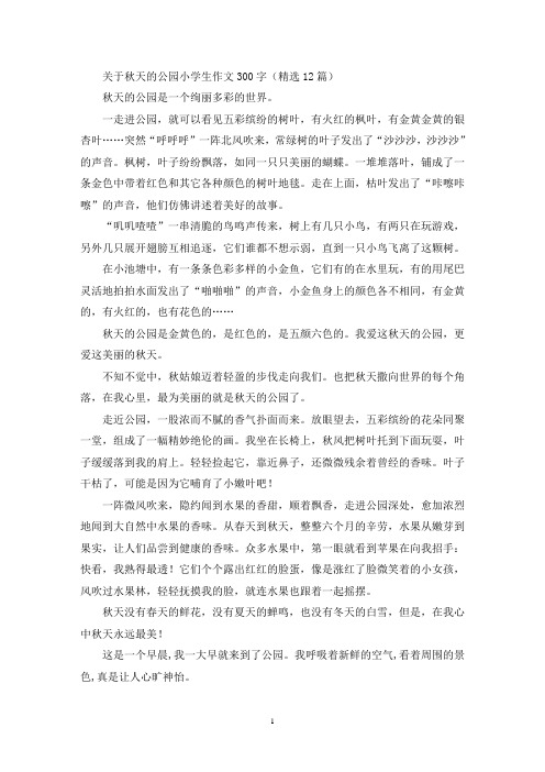 关于秋天的公园小学生作文300字(精选12篇最新)