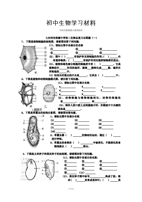 人教版八下生物总复习识图题(一)