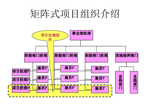 矩阵式项目组织介绍