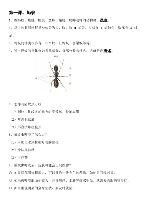 青岛版四年级上册科学知识归纳