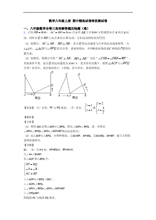 数学八年级上册 期中精选试卷培优测试卷