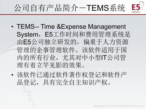 公司自有产品简介-TEMS系统-PowerPointP