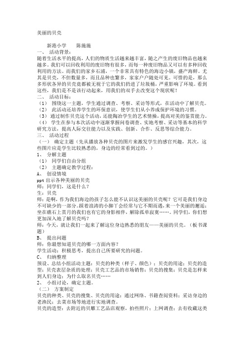 美丽的贝壳