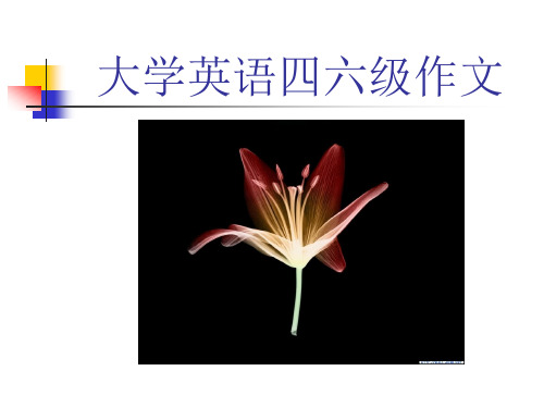 四六级作文评分标准和范文.ppt