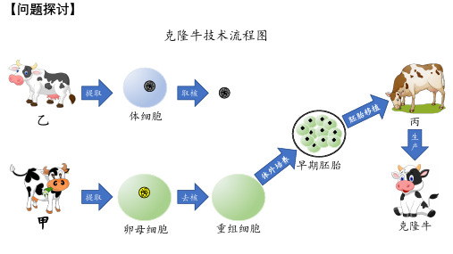 第3章第3节细胞核的结构和功能