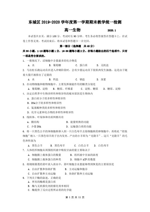 北京东城区2019-2020学年高一上学期期末生物试题及答案(word版)