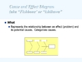 Cause and Effect Diagram