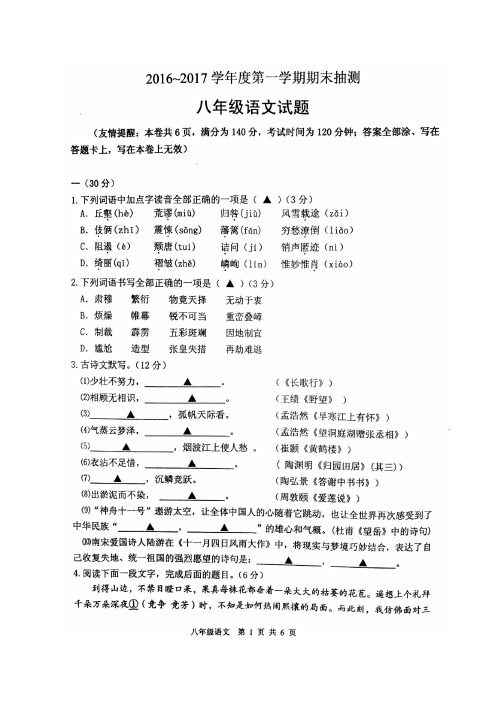 徐州市2016-第一学期八年级语文期末抽测试题