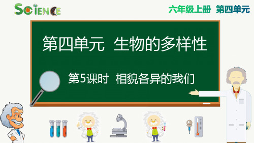 《相貌各异的我们》PPT课件 教科版科学