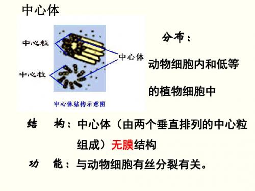 高尔基体液泡溶酶体③含有DNA的细胞器叶绿体线粒体二