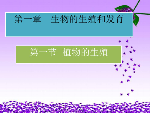 人教版八年级下册生物第一章第一节植物的生殖